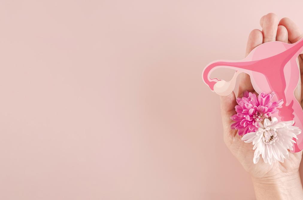 Menopausia con salud
