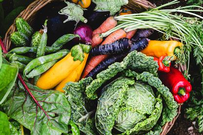 Hortalizas y frutas de huerto