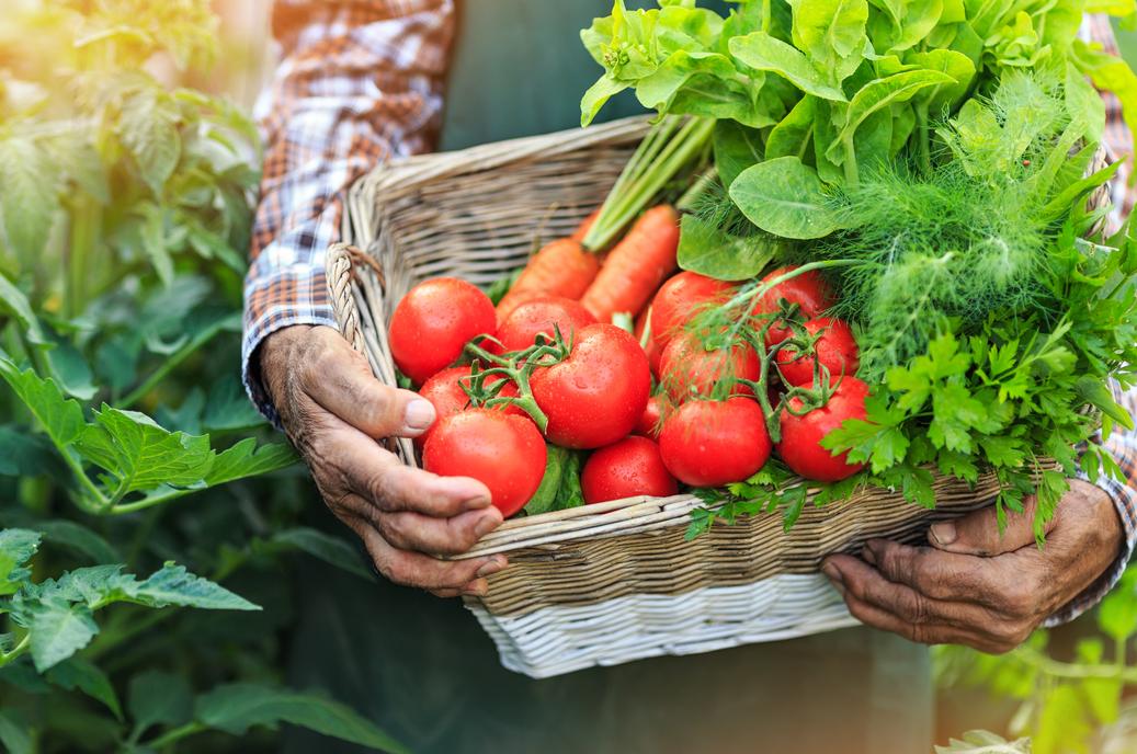 reto fruta y verdura de temporada